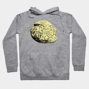 brain Hoodie